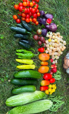 Minnesota fall gourds