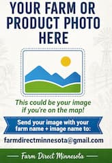 Grass-fed cattle feeding on pasture